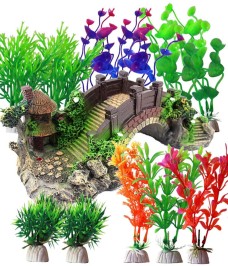 Phụ Kiện Thủy Sinh
