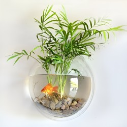 Hồ cá mini treo tường trang trí đẹp