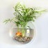 Hồ cá mini treo tường trang trí đẹp