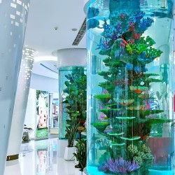 Hồ thủy sinh dạng trụ trang trí đẹp