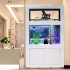 Bể thủy sinh đơn giản đẹp cho hồ cá