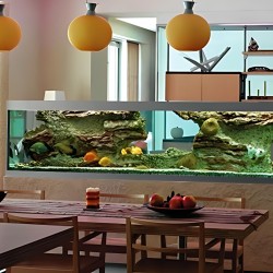 Bể cá vách ngăn trang trí đẹp