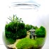 Bể thủy sinh mini trang trí đẹp