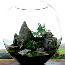 Hồ thủy sinh bán cạn núi đá trang trí đẹp