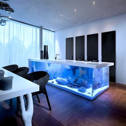 Hồ cá cảnh lớn trang trí đẹp