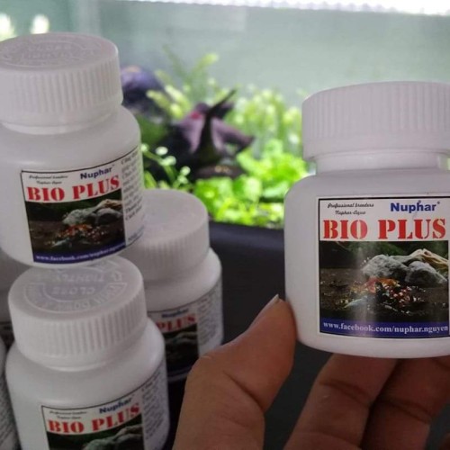 Bio plus - Vi sinh khử độc