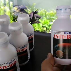 Thuốc Anti Bio trị nấm cho cá cảnh