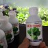 Phân nước thủy sinh Liquid 1 cho cây thủy sinh