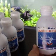 Liquid Bacter khử độc và chống sốc cho cá