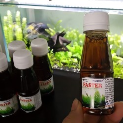 Thuốc kích rễ và chồi non cho cây thủy sinh