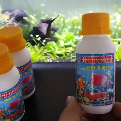 Men vi sinh cho hồ thủy sinh