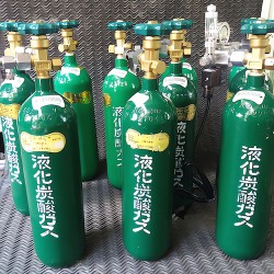 Bình CO2 xanh Nhật cho hồ thủy sinh