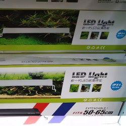 Đèn LED siêu sáng 80cm cho hồ cá